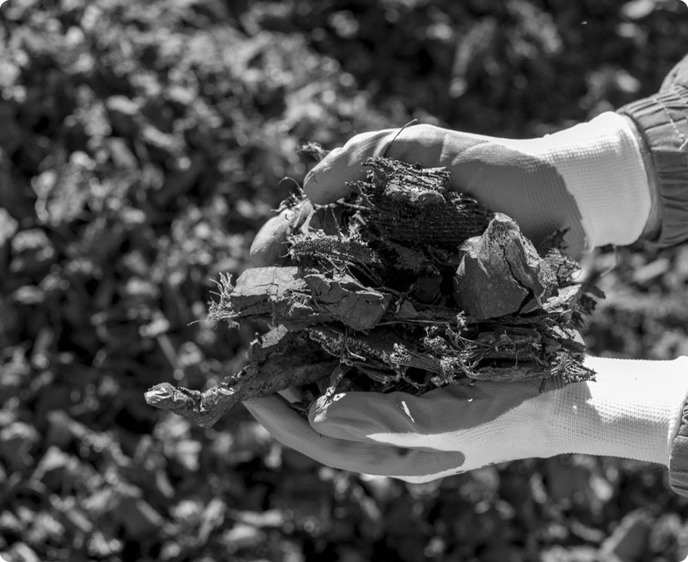 Showing soil